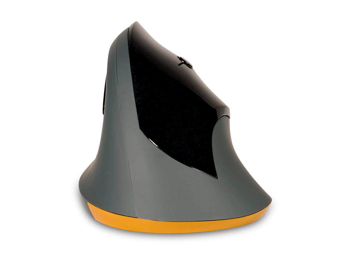 CCS Product Image (Back/1200 x 900)