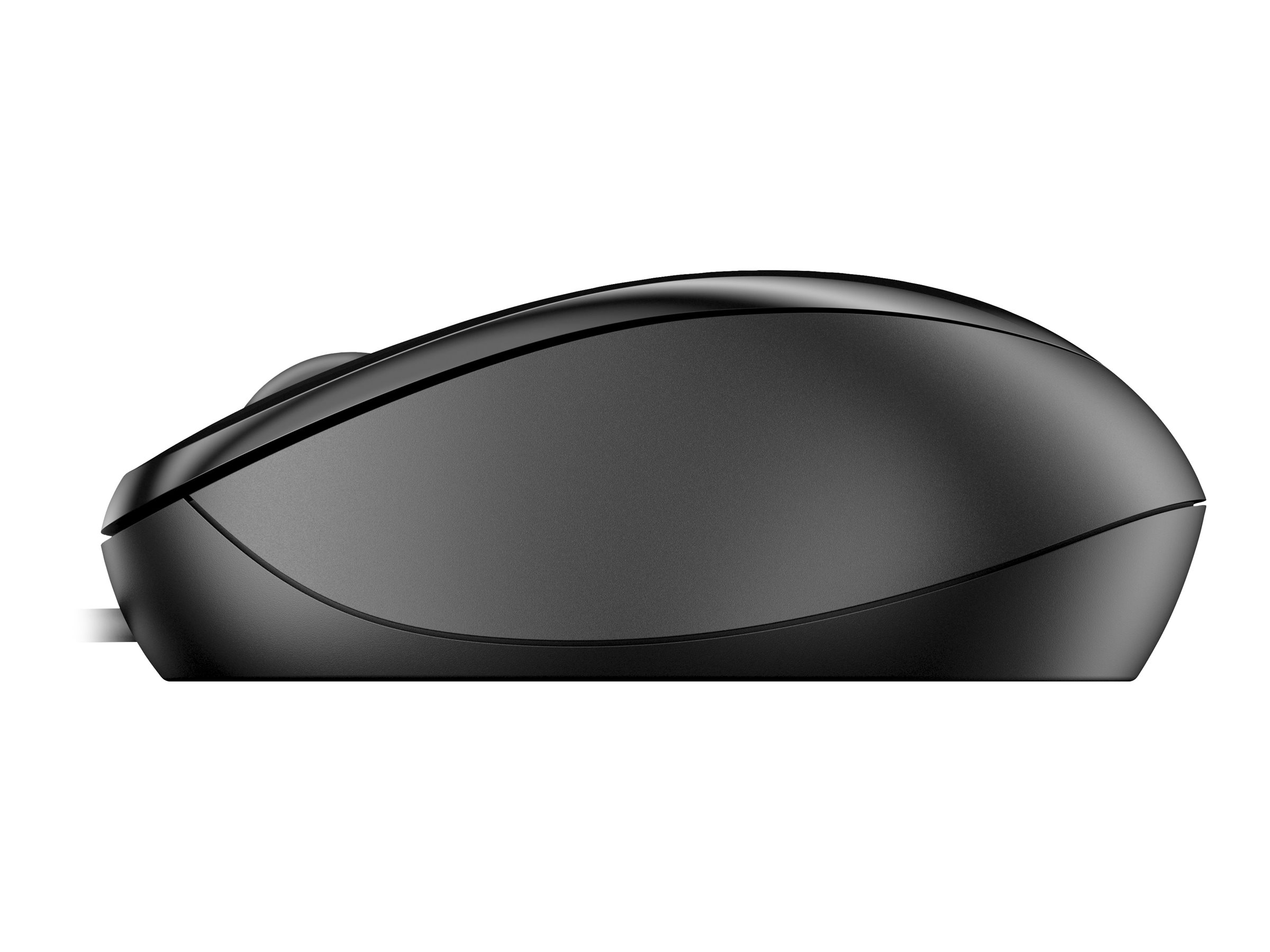 CCS Product Image (Right side/2400 x 1800)
