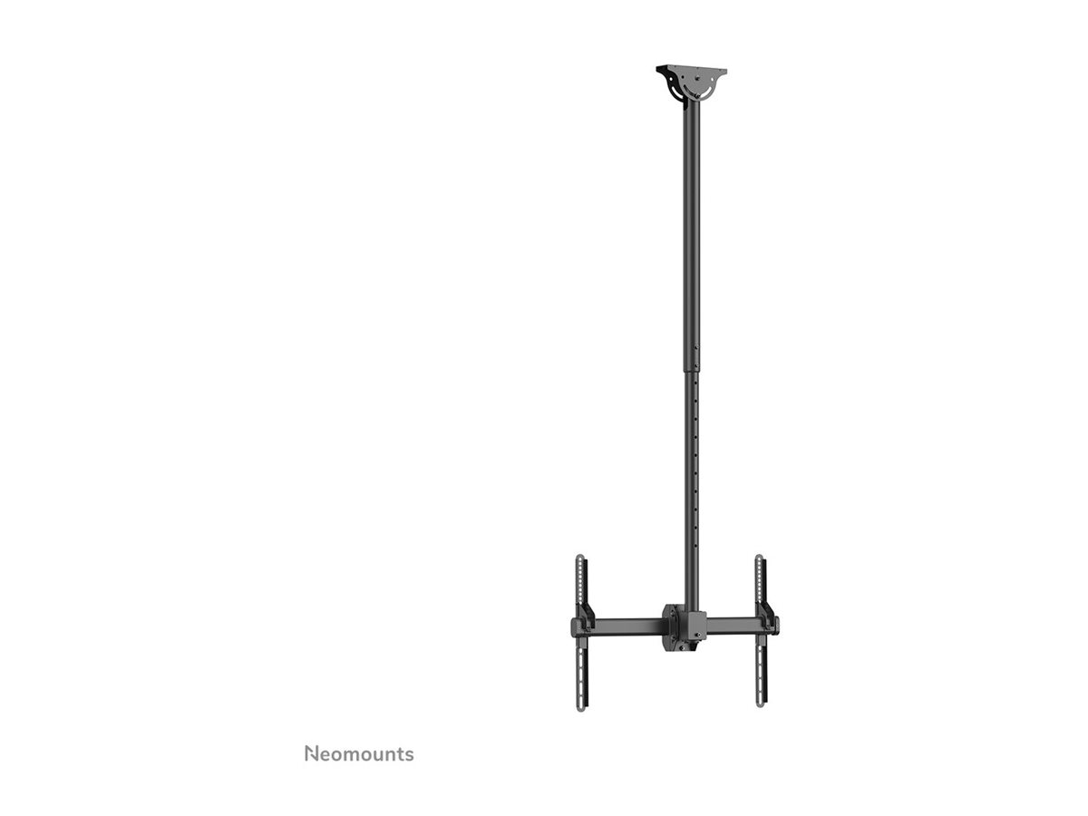 CCS Product Image (Back/1200 x 900)