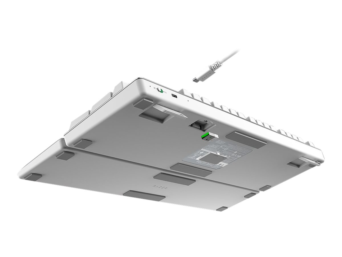 CCS Product Image (Back/1200 x 900)