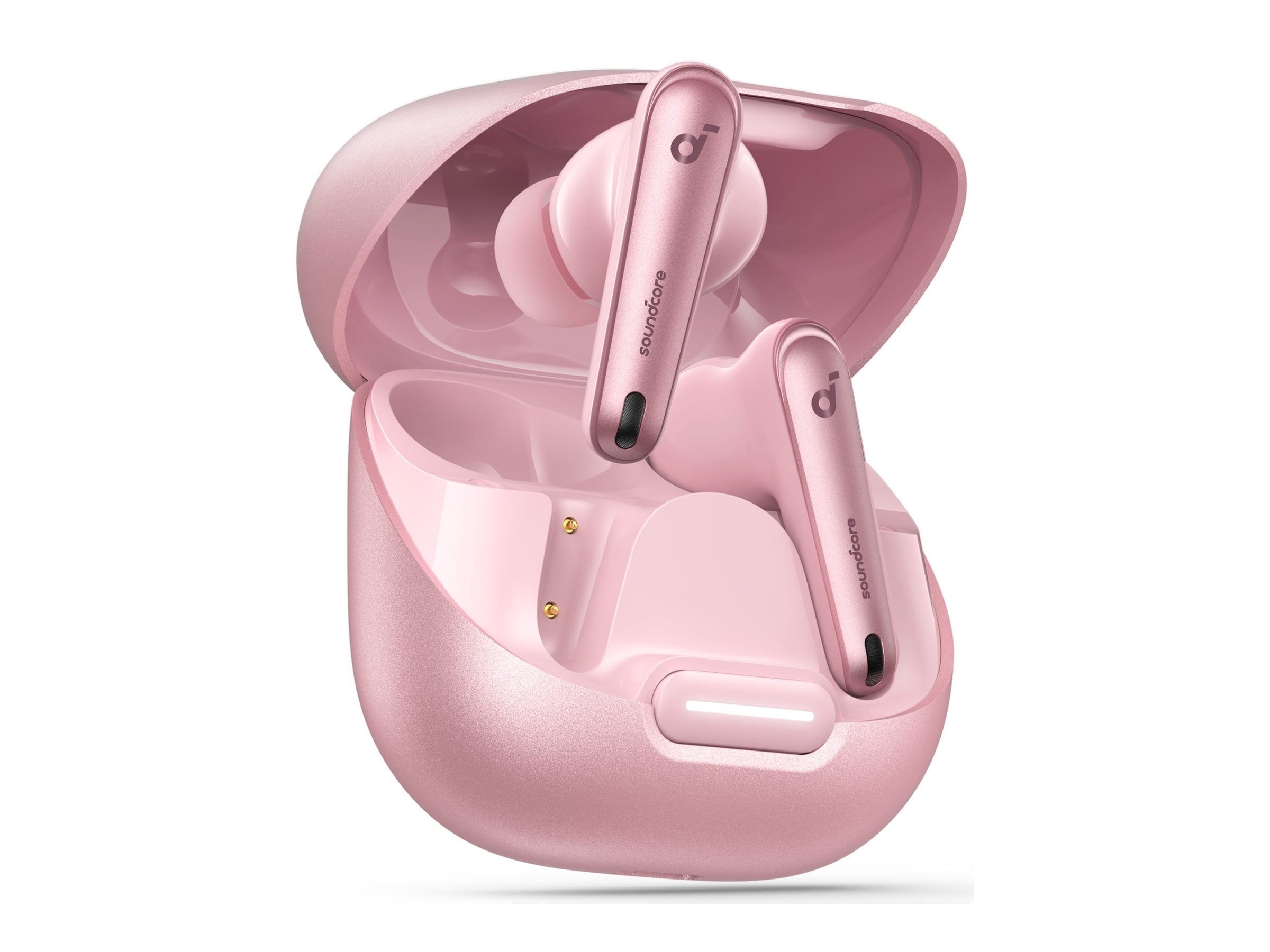 CCS Product Image (Left-angle/2400 x 1800)