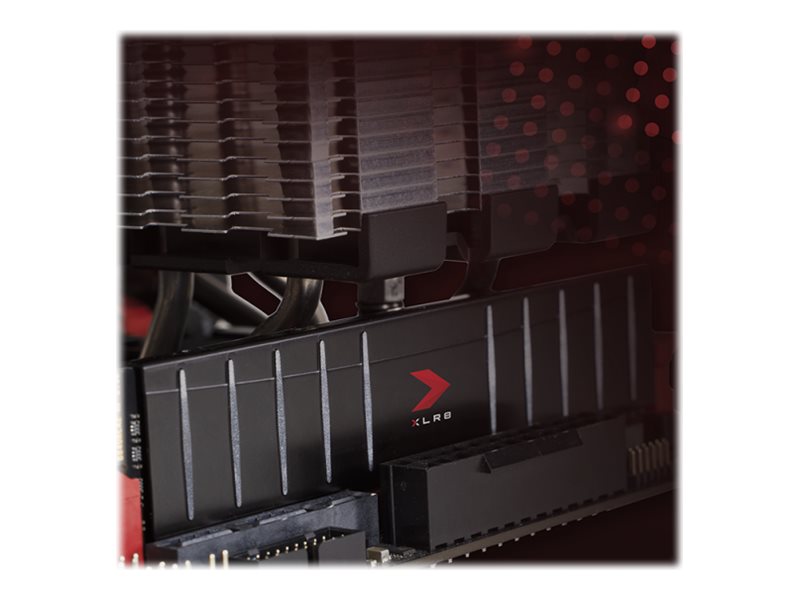 CCS Product Image (Left-angle/800 x 600)