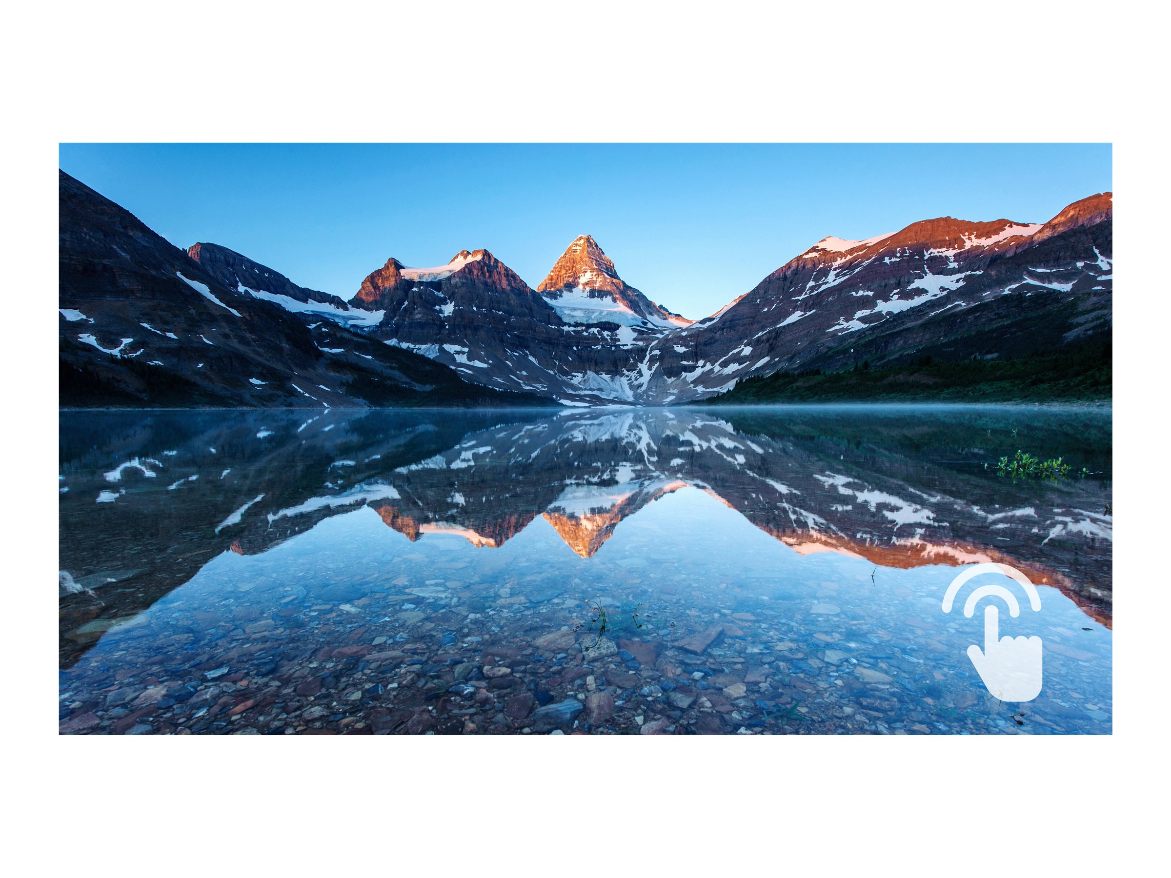 CCS Product Image (Close-up/2400 x 1800)