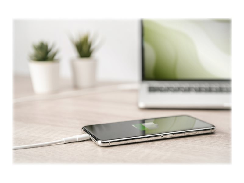 CCS Product Image (Close-up/800 x 600)