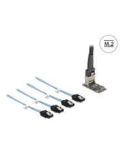 ITS - https://shopmanager.future-x.de/images/products/0/its-21129640.jpg