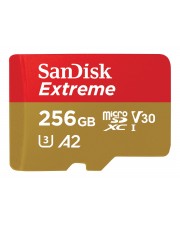 ITS - https://shopmanager.future-x.de/images/products/3/its-13707573.jpg