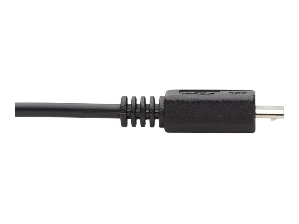 CCS Product Image (Close-up/1024 x 768)