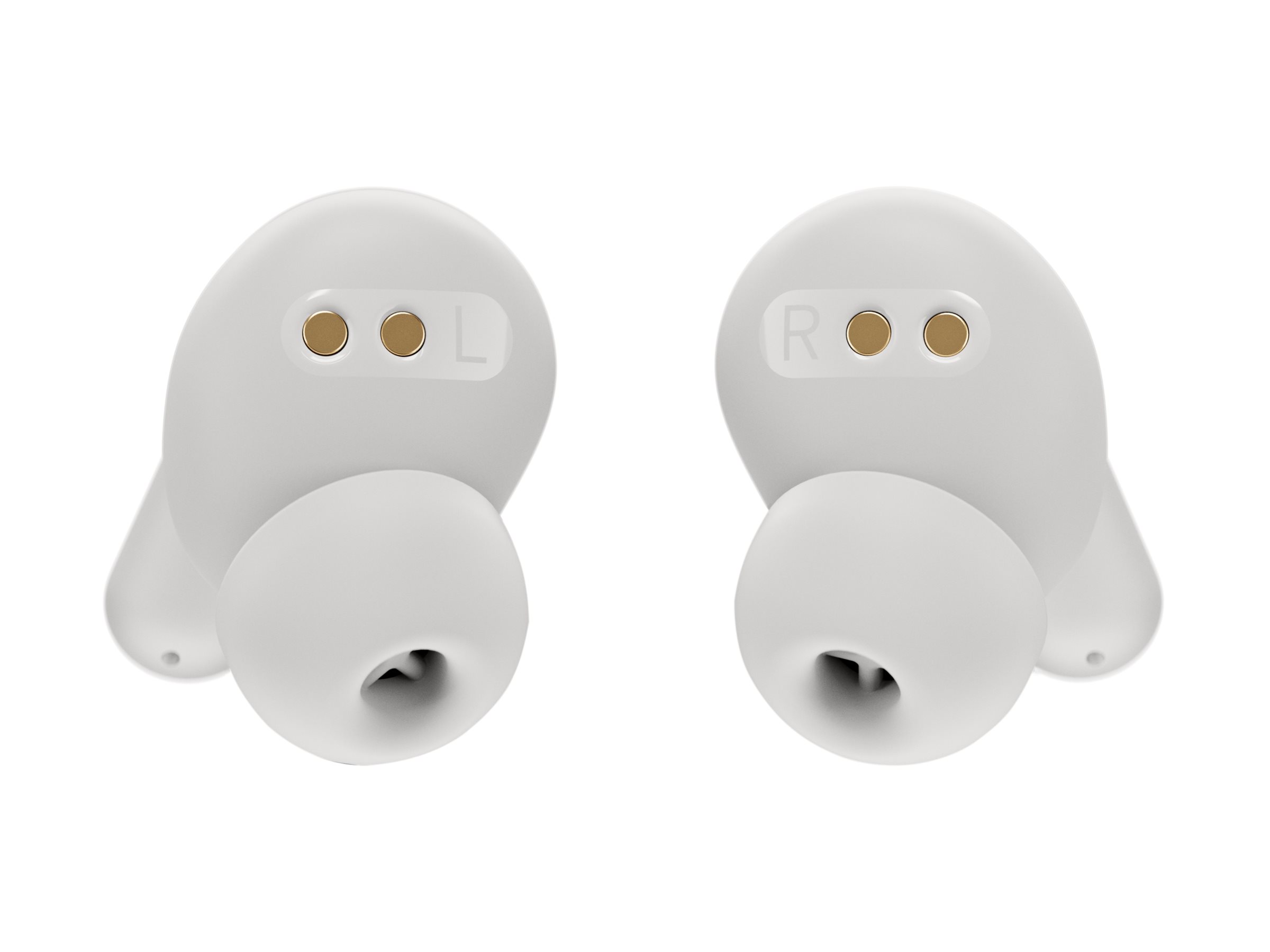 CCS Product Image (Back/2400 x 1800)