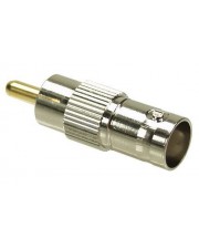 ITS - its-1124725.jpg