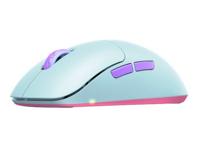 CCS Product Image (Back/400 x 300)