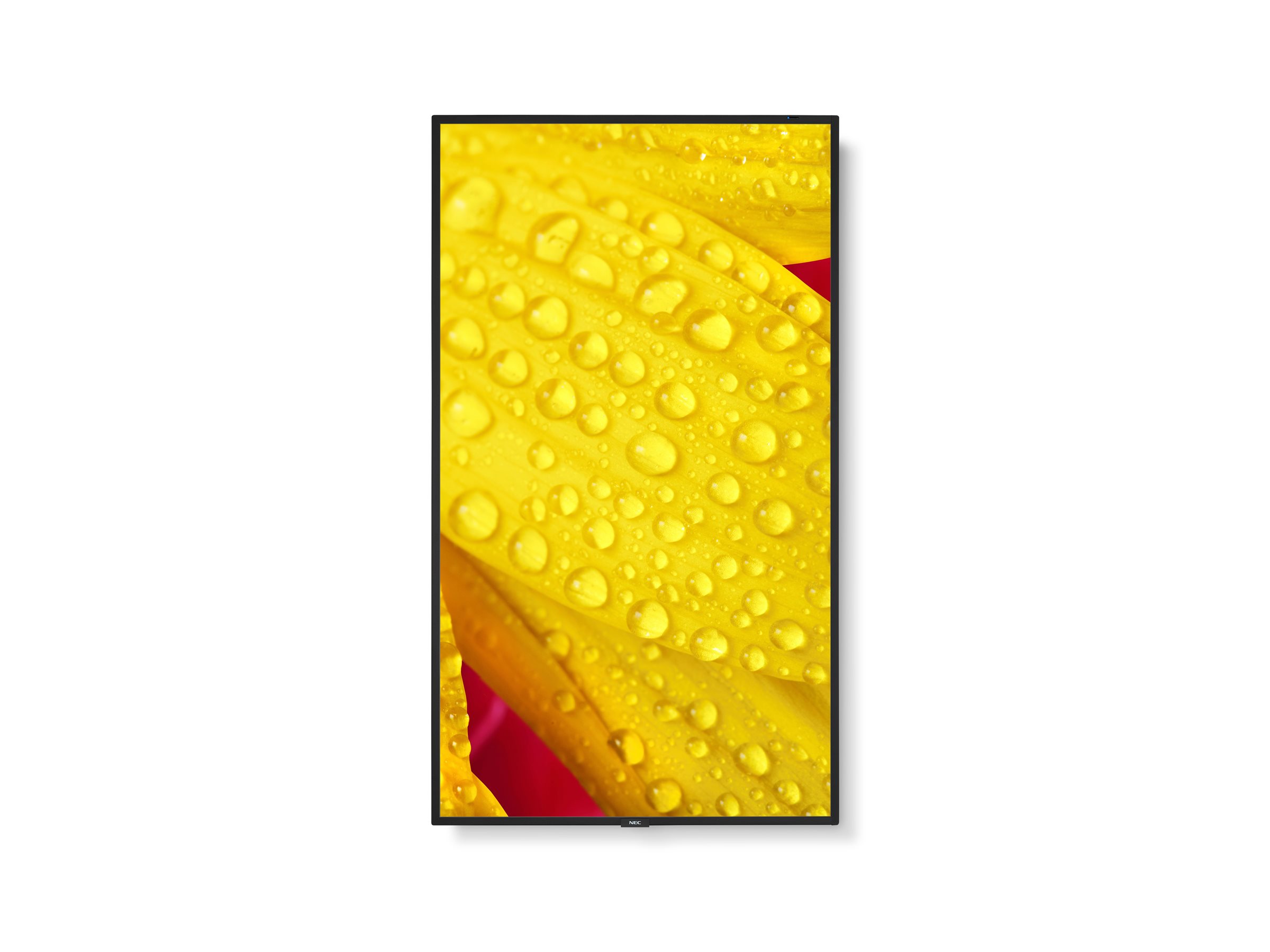 CCS Product Image (Front/2400 x 1800)
