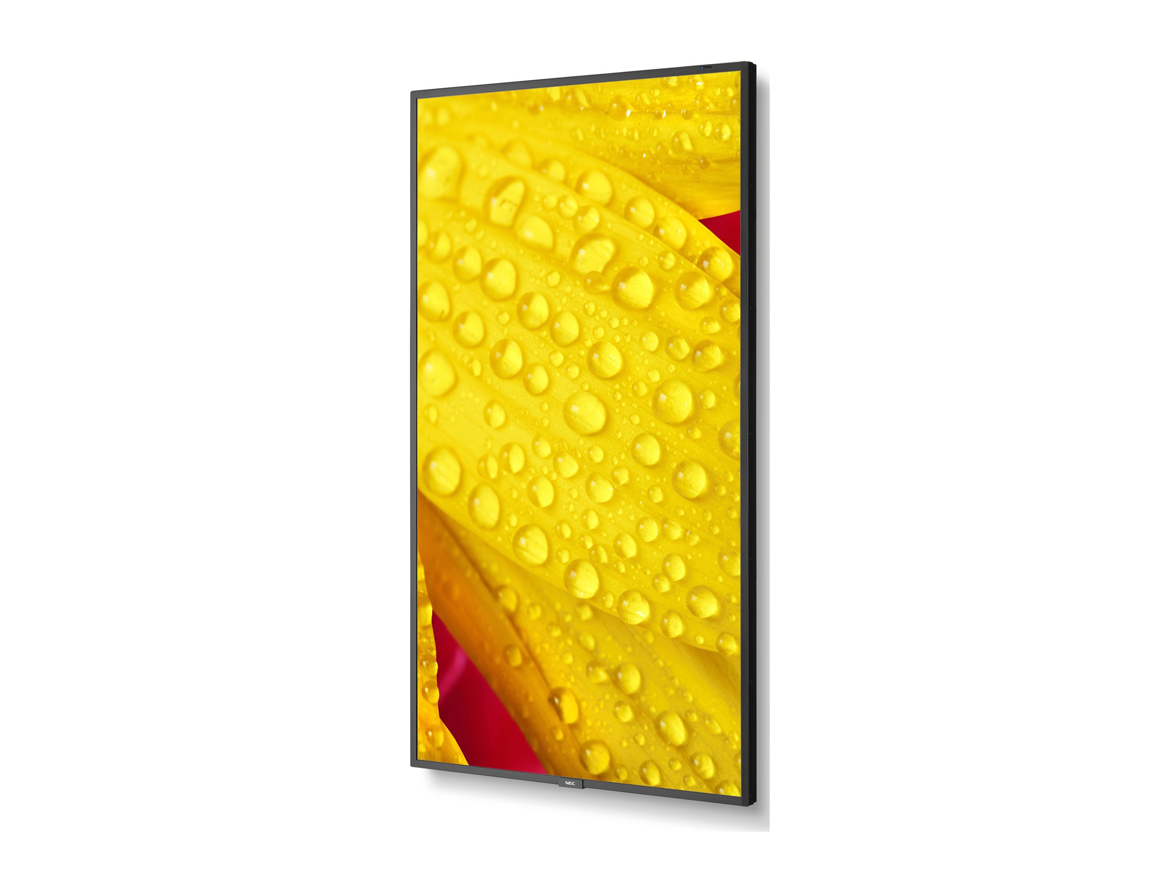 CCS Product Image (Right-angle/2400 x 1800)