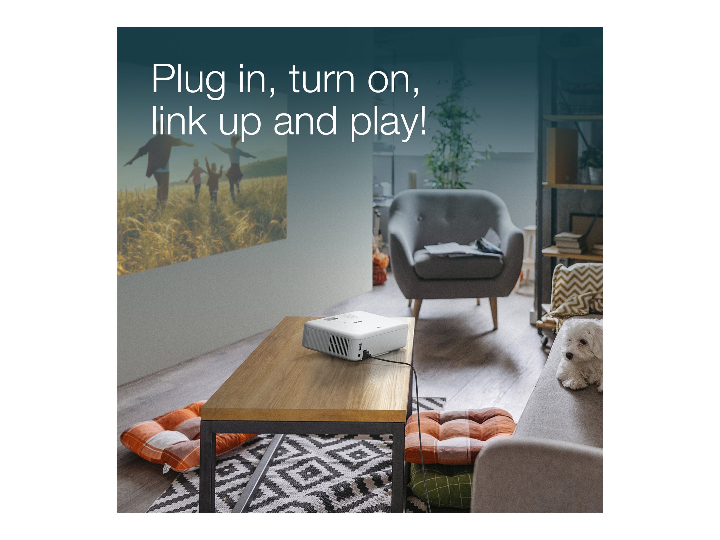 CCS Product Image (Back/2400 x 1800)