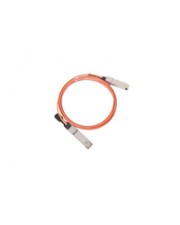 ITS - https://shopmanager.future-x.de/images/products/3/its-14513583.jpg