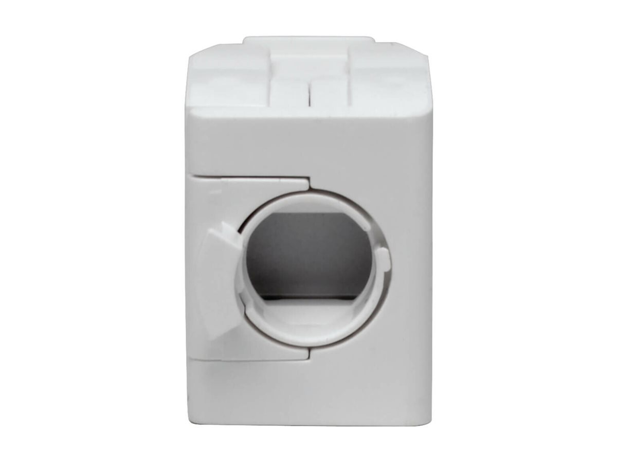CCS Product Image (Back/1200 x 900)