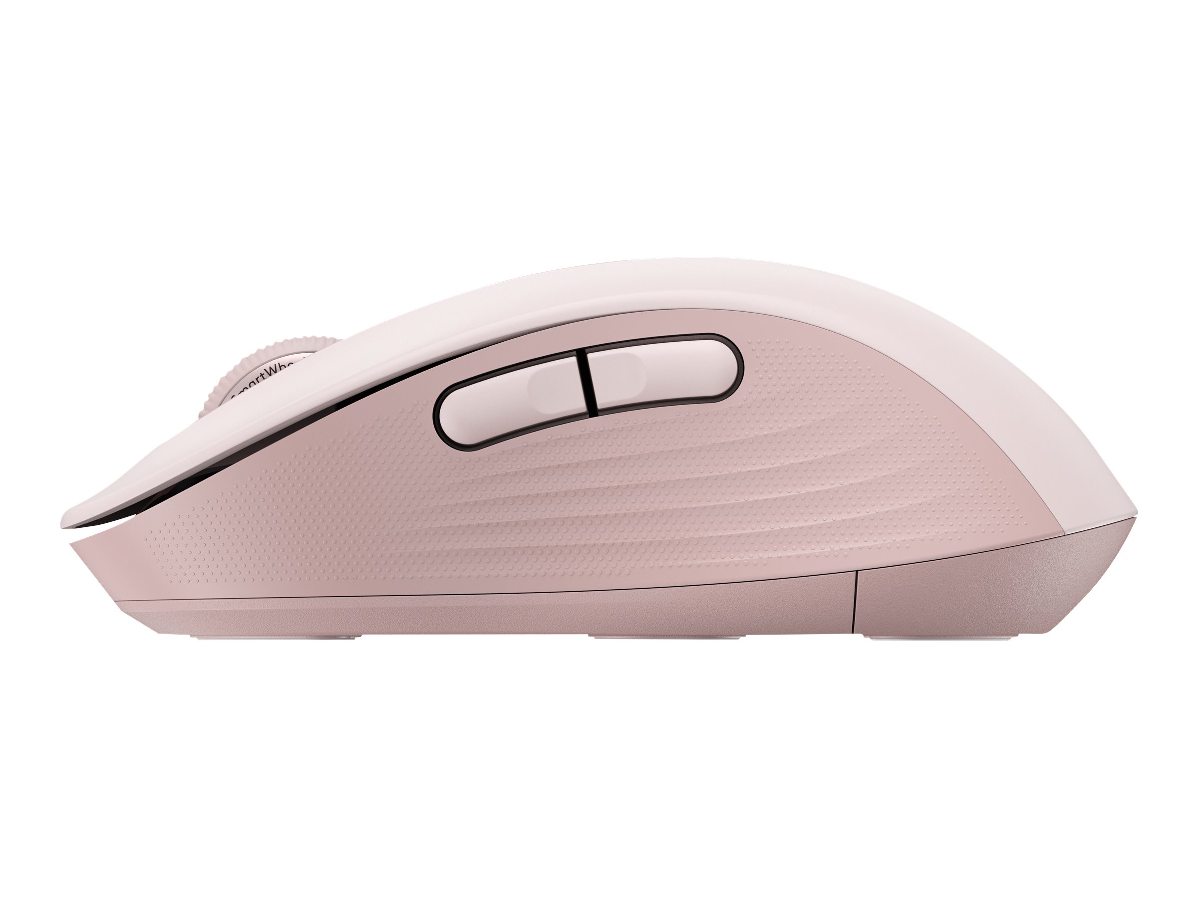 CCS Product Image (Right side/2400 x 1800)