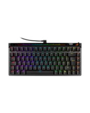 ITS - https://shopmanager.future-x.de/images/products/4/its-22111274.jpg