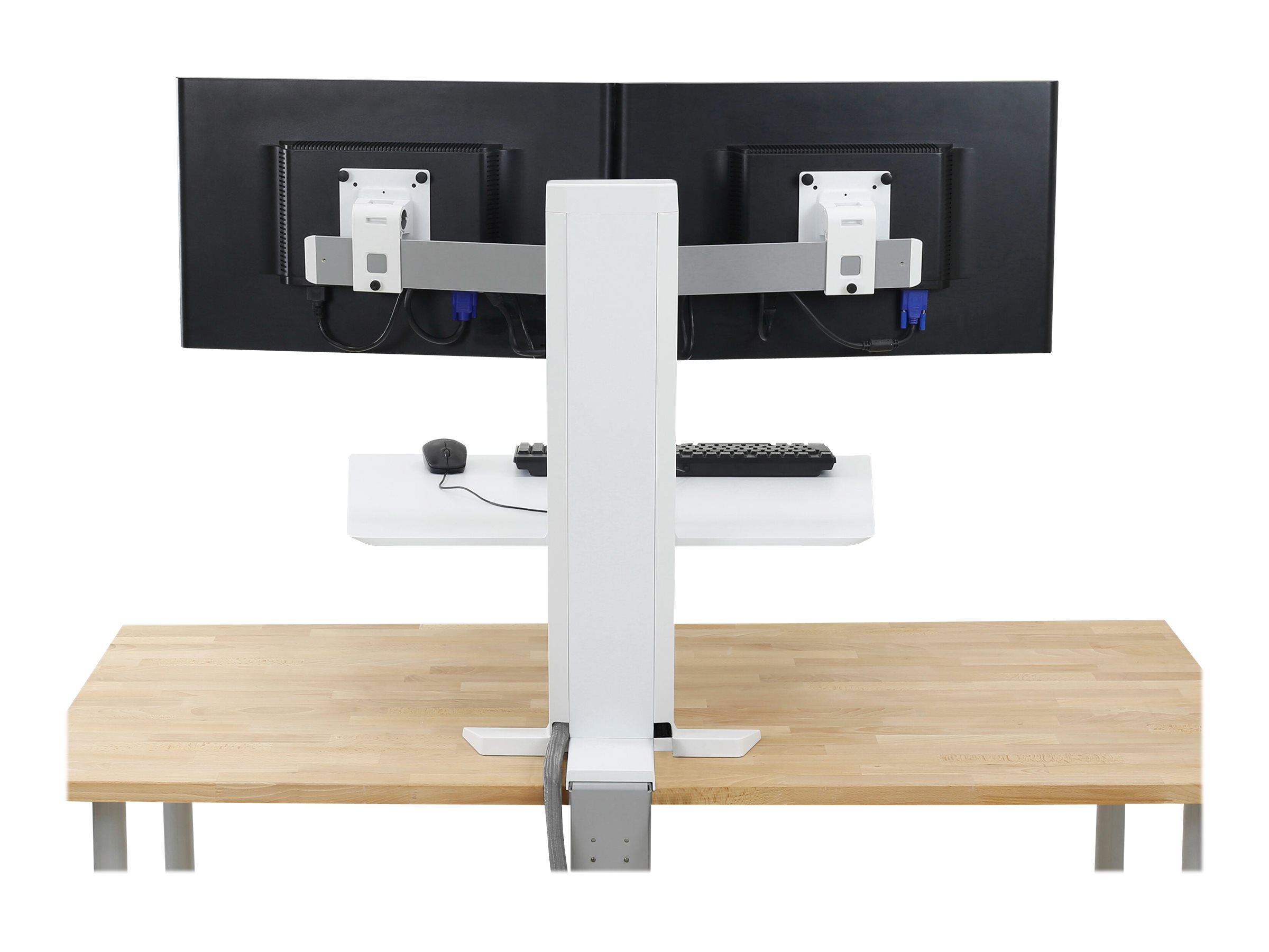 CCS Product Image (Back/2400 x 1800) CCS Product Image (Back/2400 x 1800)