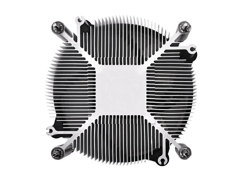 CCS Product Image (Back/800 x 600)