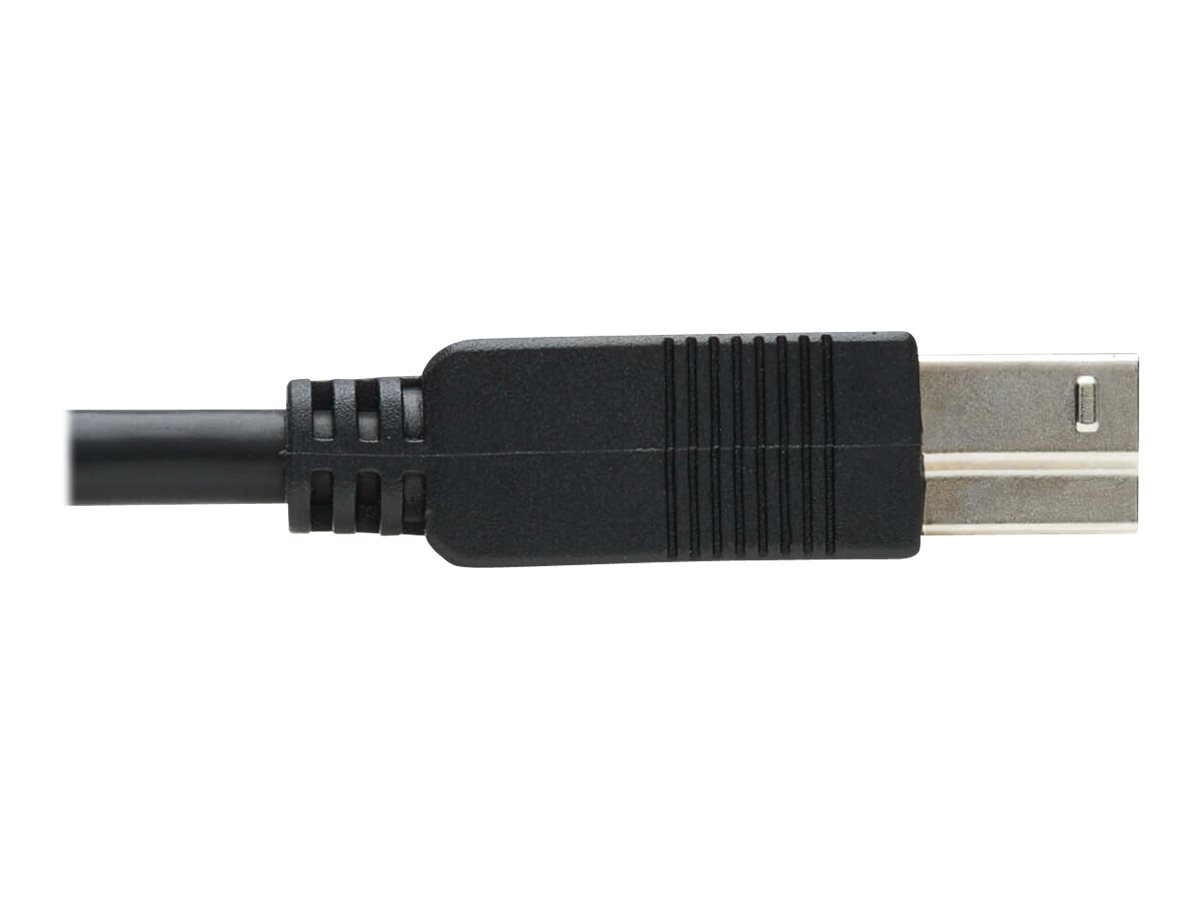 CCS Product Image (Close-up/1200 x 900)