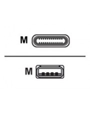 ITS - https://shopmanager.future-x.de/images/products/8/its-11255318.jpg