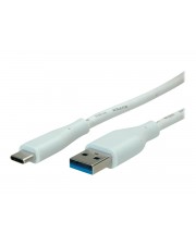 ITS - https://shopmanager.future-x.de/images/products/4/its-13952424.jpg