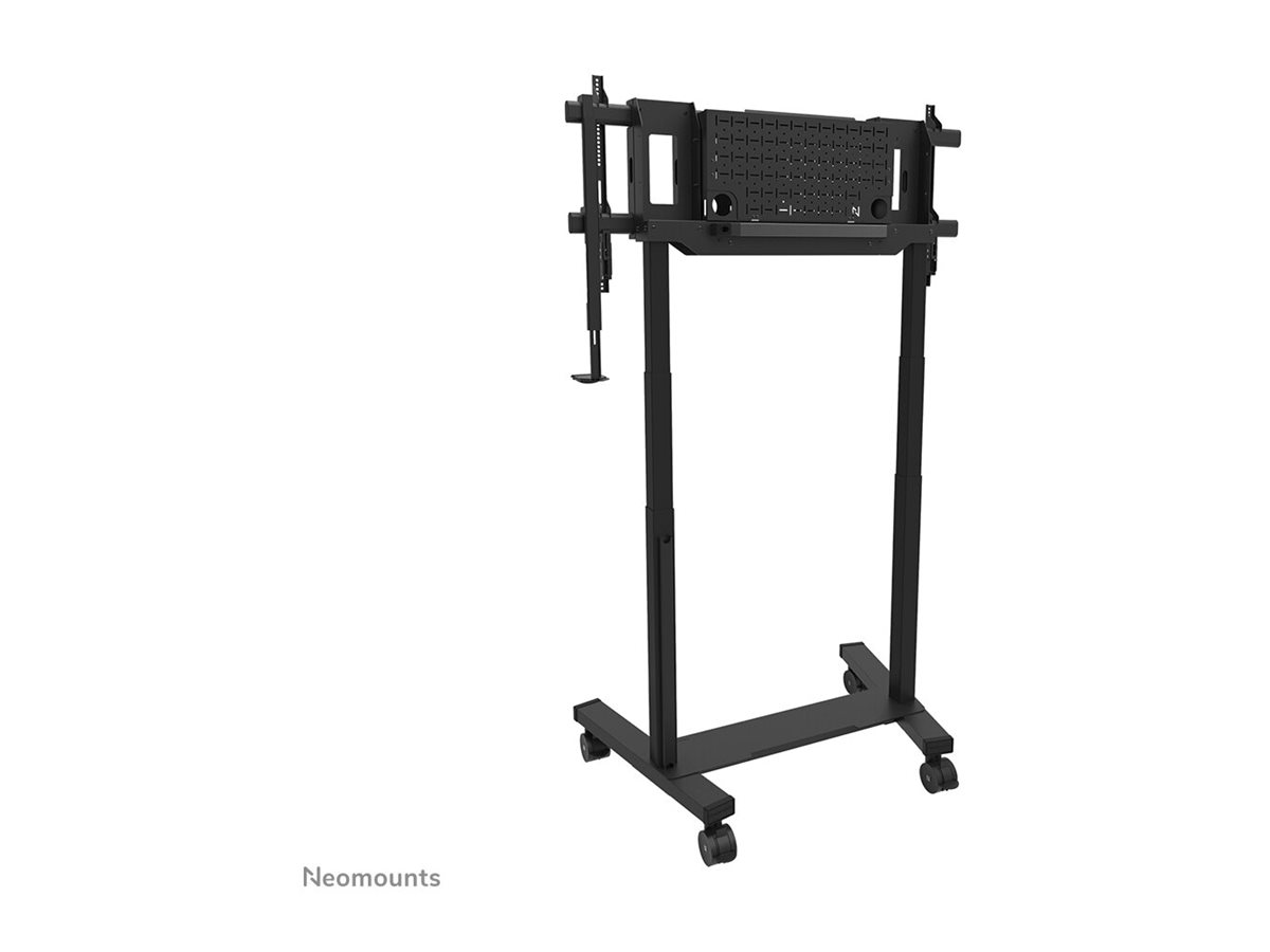 CCS Product Image (Back/1200 x 900)