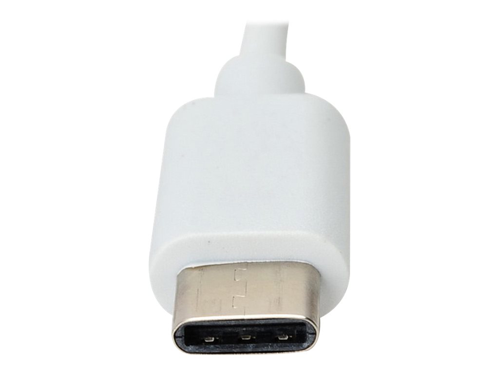 CCS Product Image (Close-up/1024 x 768)