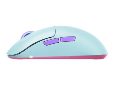 CCS Product Image (Left side/400 x 300)