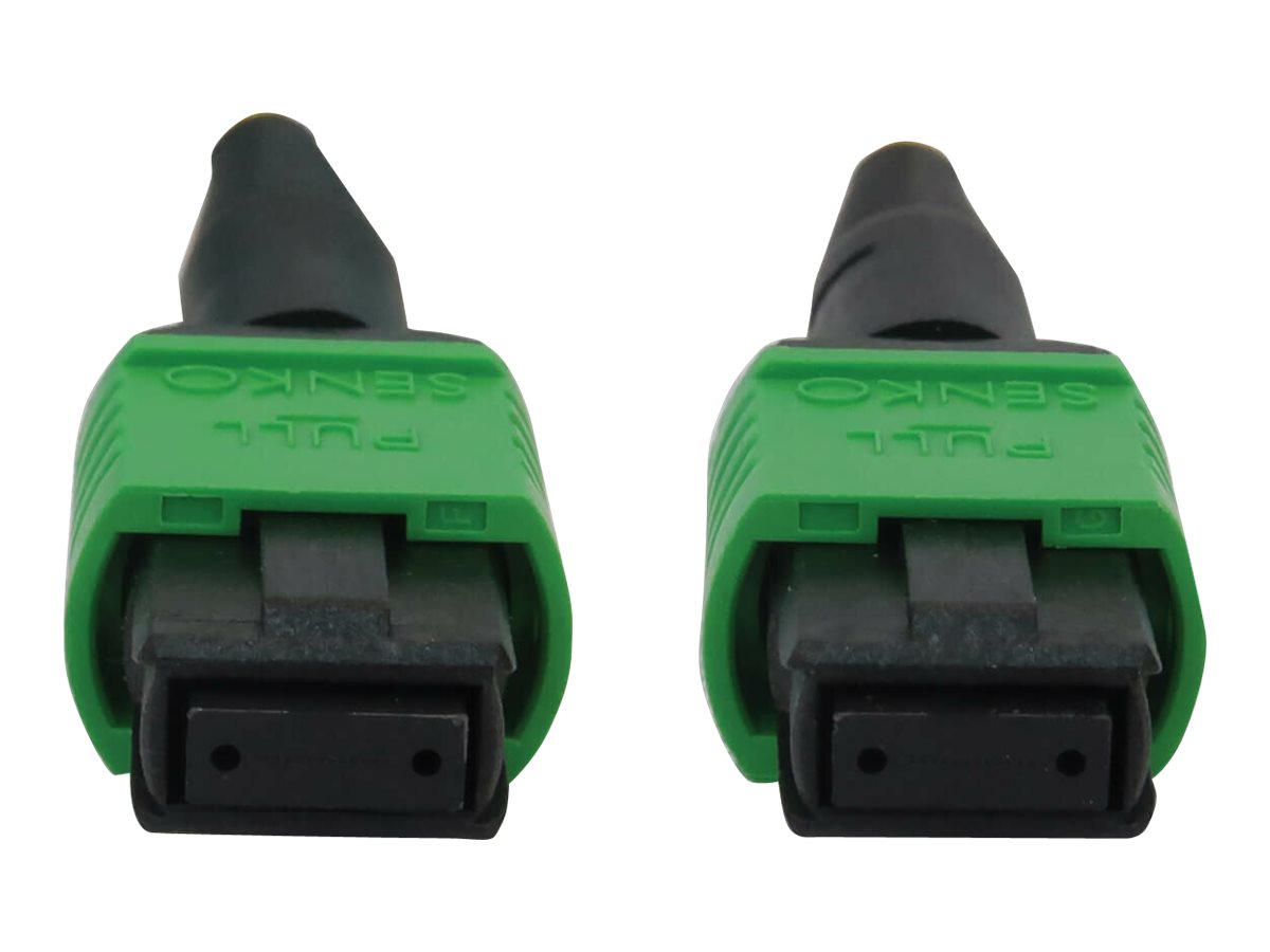 CCS Product Image (Close-up/1200 x 900)