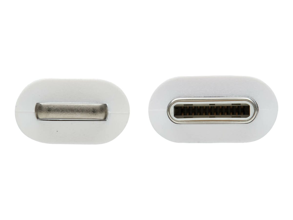 CCS Product Image (Close-up/1200 x 900)