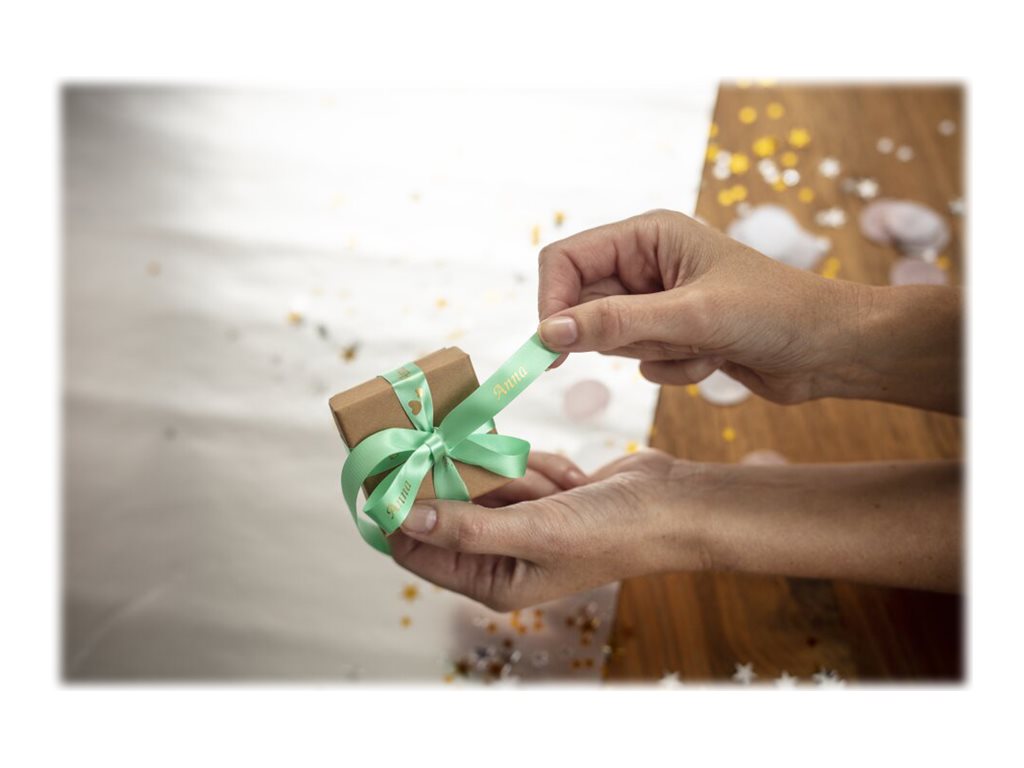 CCS Product Image (Left-angle/1024 x 768)