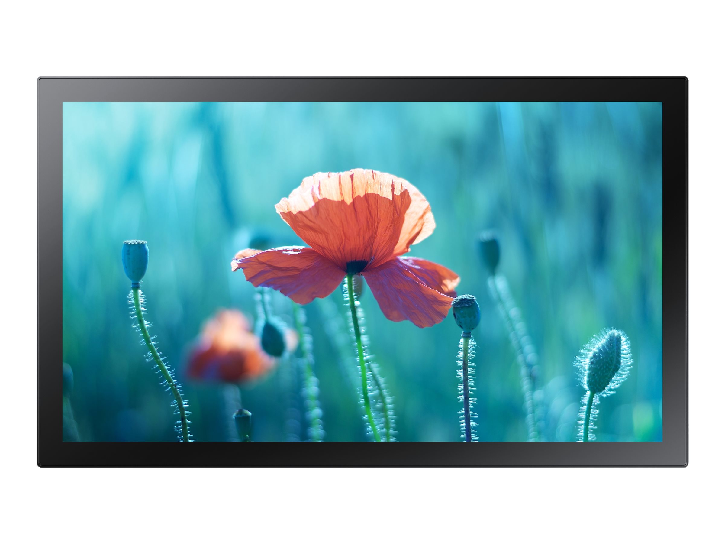 CCS Product Image (Front/2400 x 1800)
