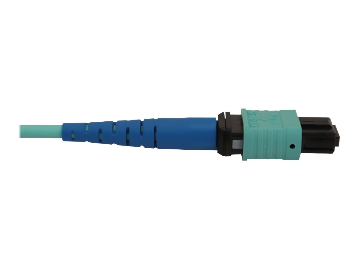 CCS Product Image (Left side/1200 x 900)