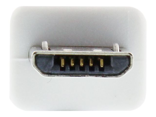 CCS Product Image (Close-up/640 x 480)