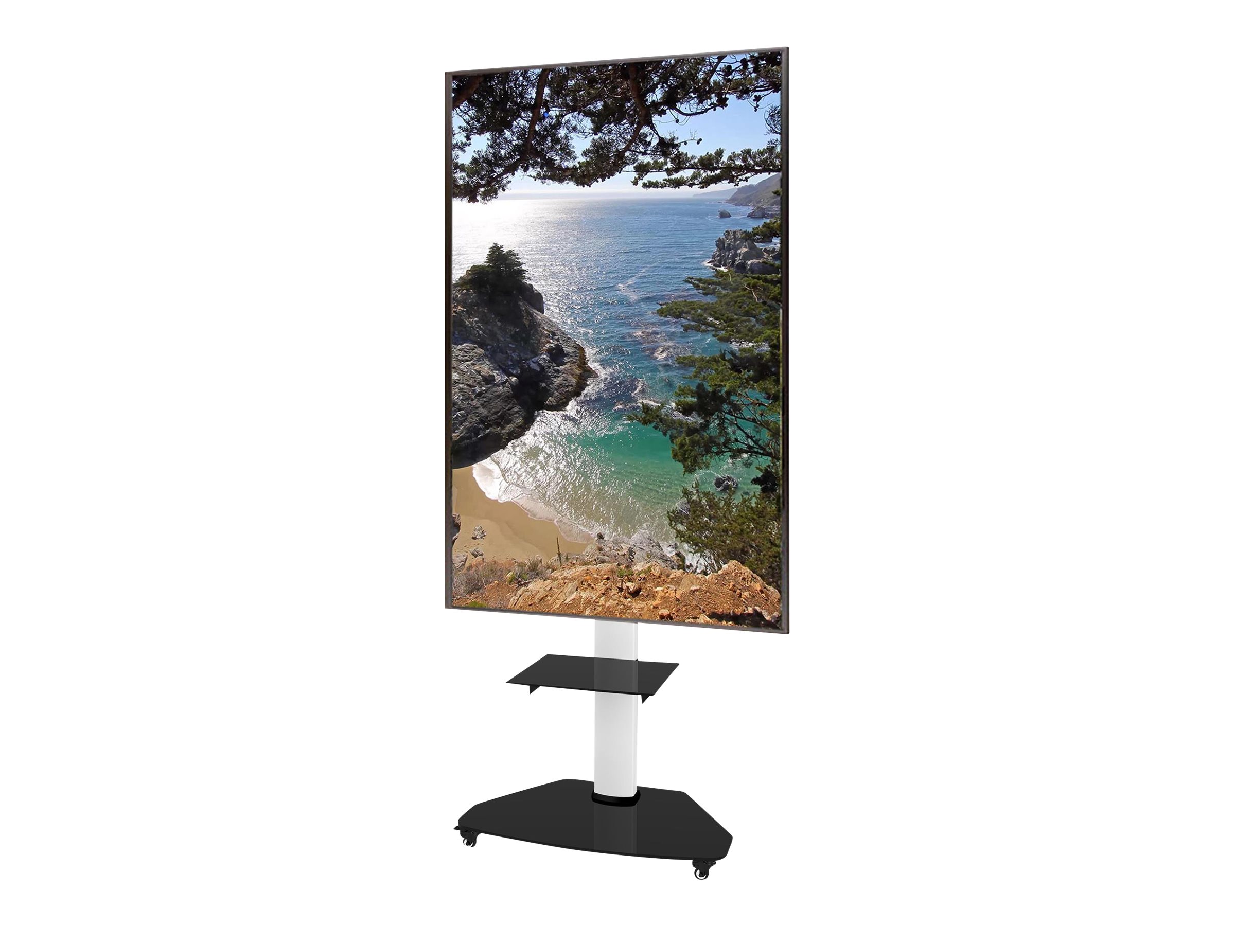 CCS Product Image (Right-angle/2400 x 1800)