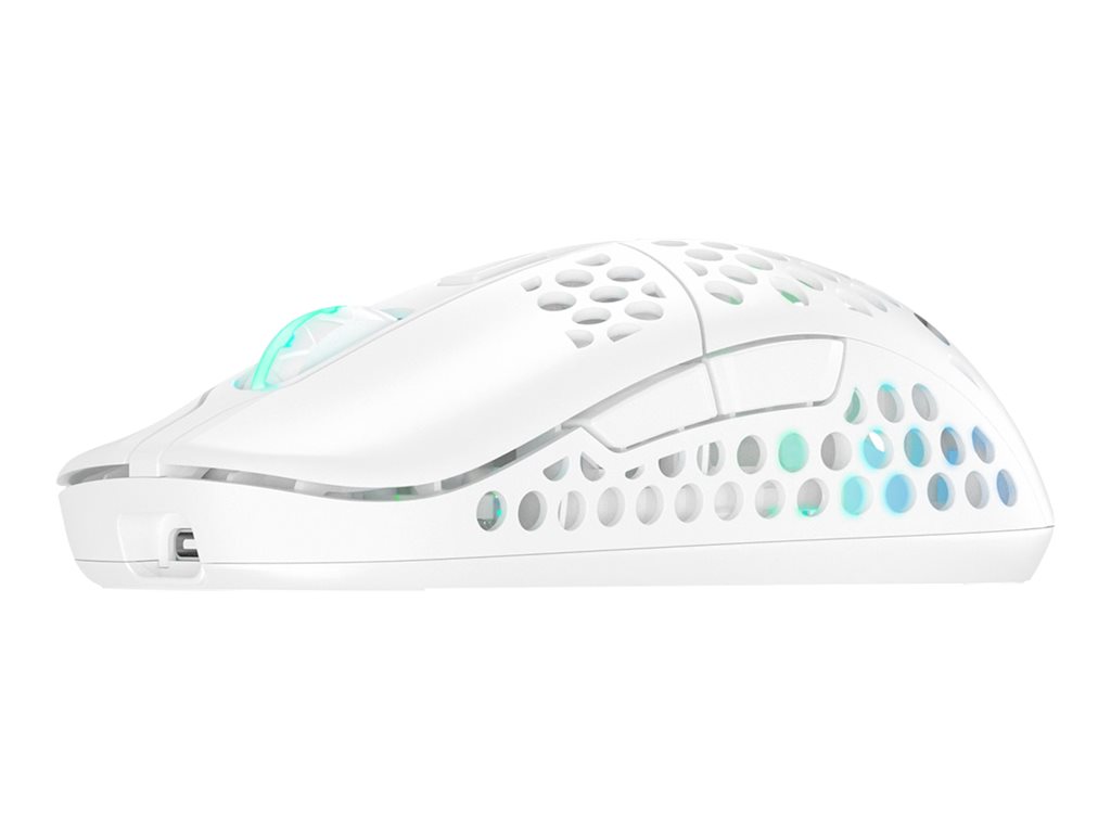 CCS Product Image (Left-angle/1024 x 768)