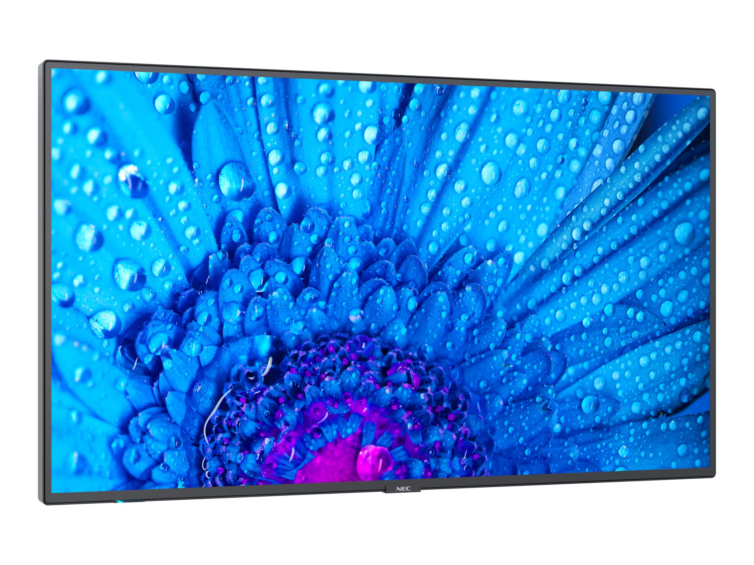 CCS Product Image (Left-angle/2400 x 1800)