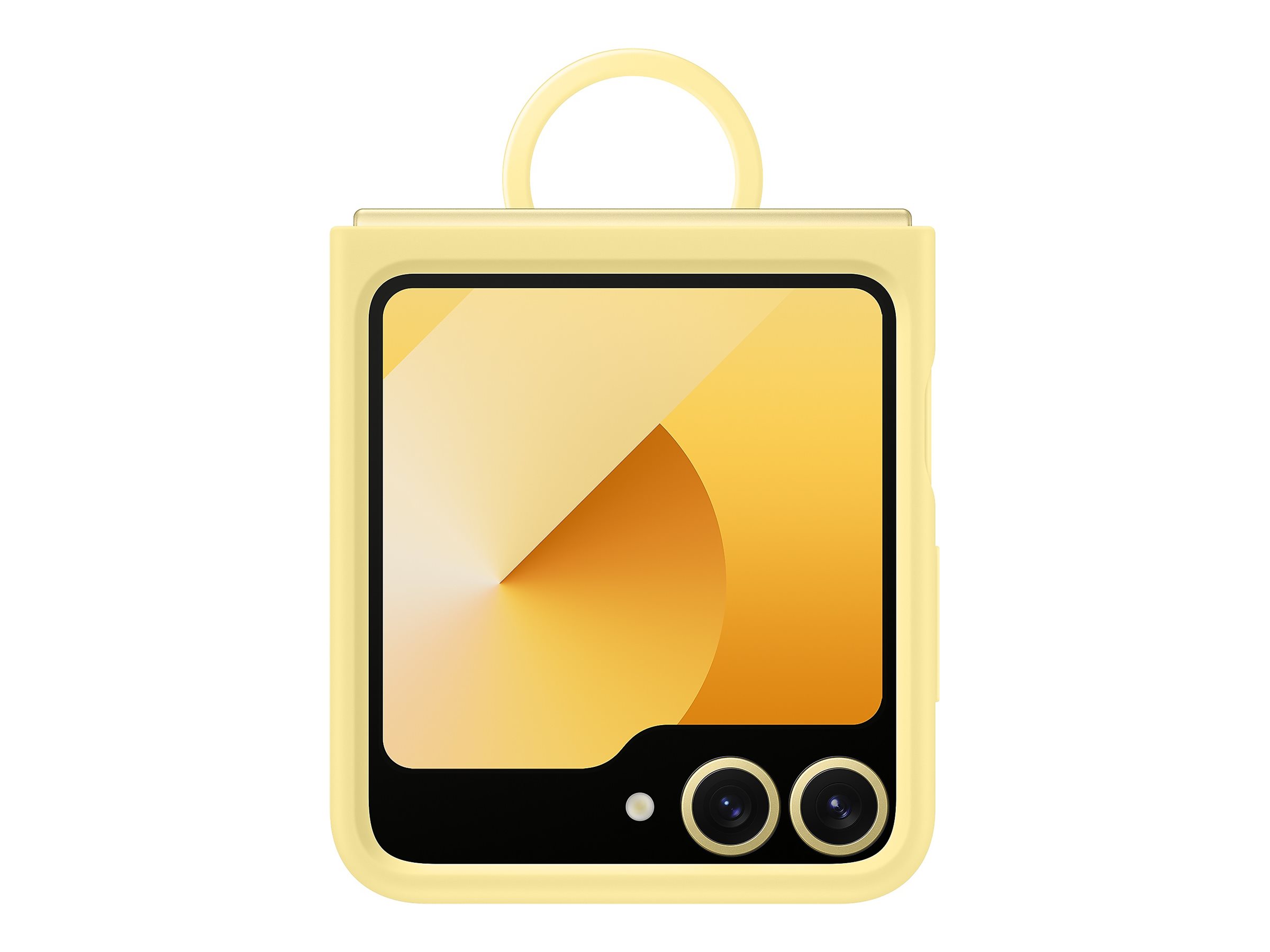 CCS Product Image (Back/2400 x 1800)