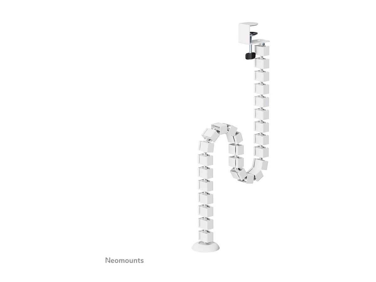 CCS Product Image (Back/1200 x 900)