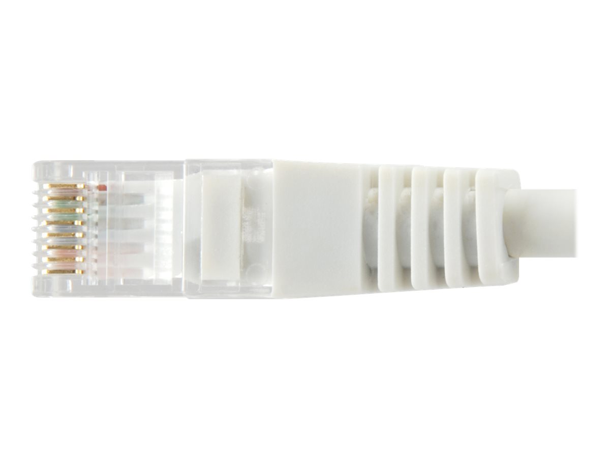 CCS Product Image (Bottom/1200 x 900)