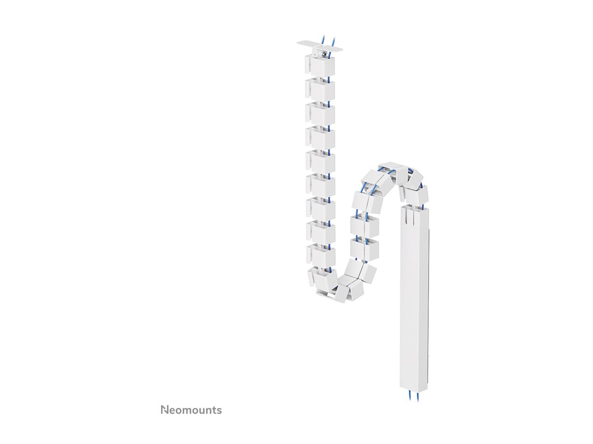 CCS Product Image (Back/1200 x 900)