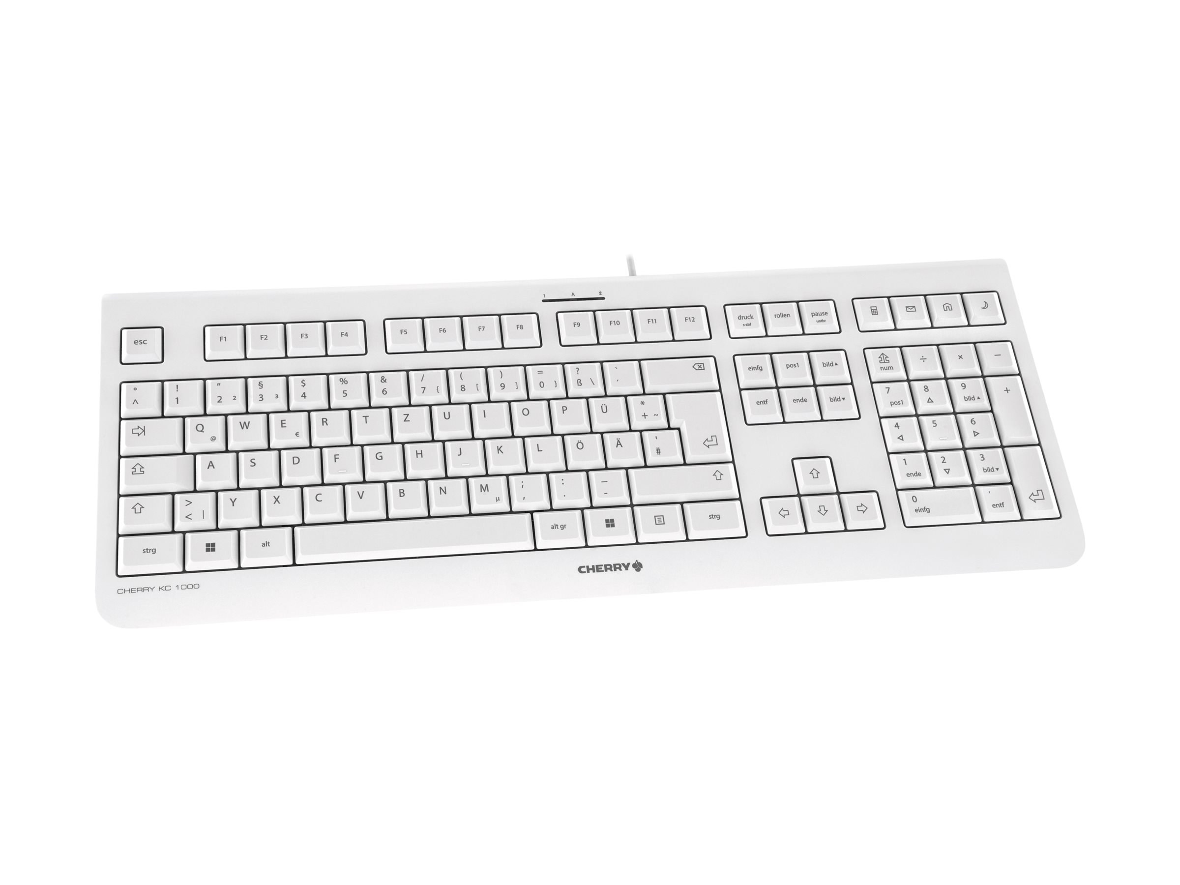 CCS Product Image (Left-angle/2400 x 1800)