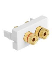 ITS - https://shopmanager.future-x.de/images/products/9/its-12649989.jpg