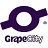 GrapeCity GrapeCity