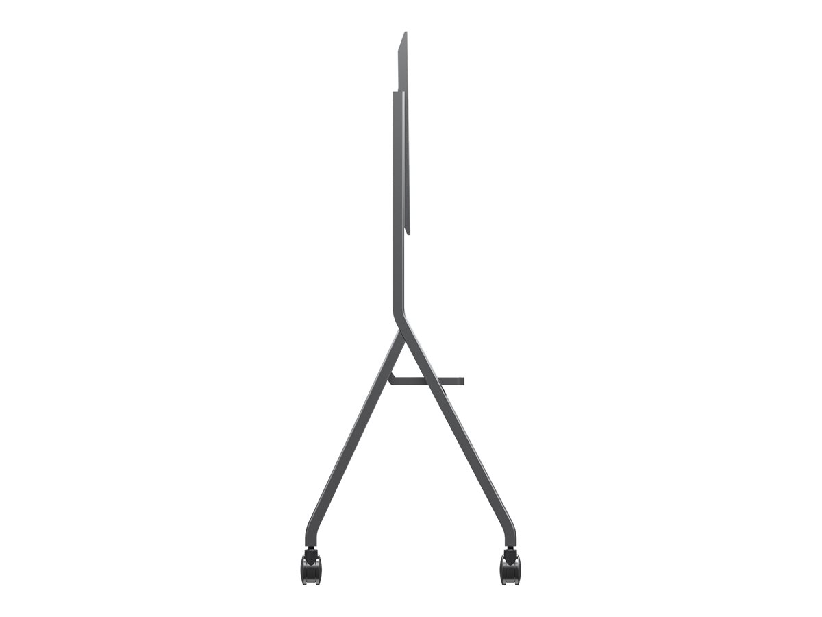 CCS Product Image (Left side/1200 x 900)