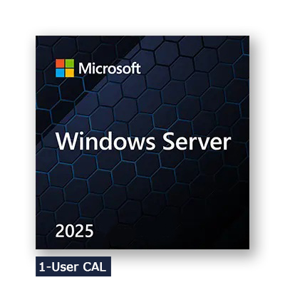 Microsoft Windows Remote Desktop Services RDS 2025 1 User / Benutzer CAL OEM, Multilingual