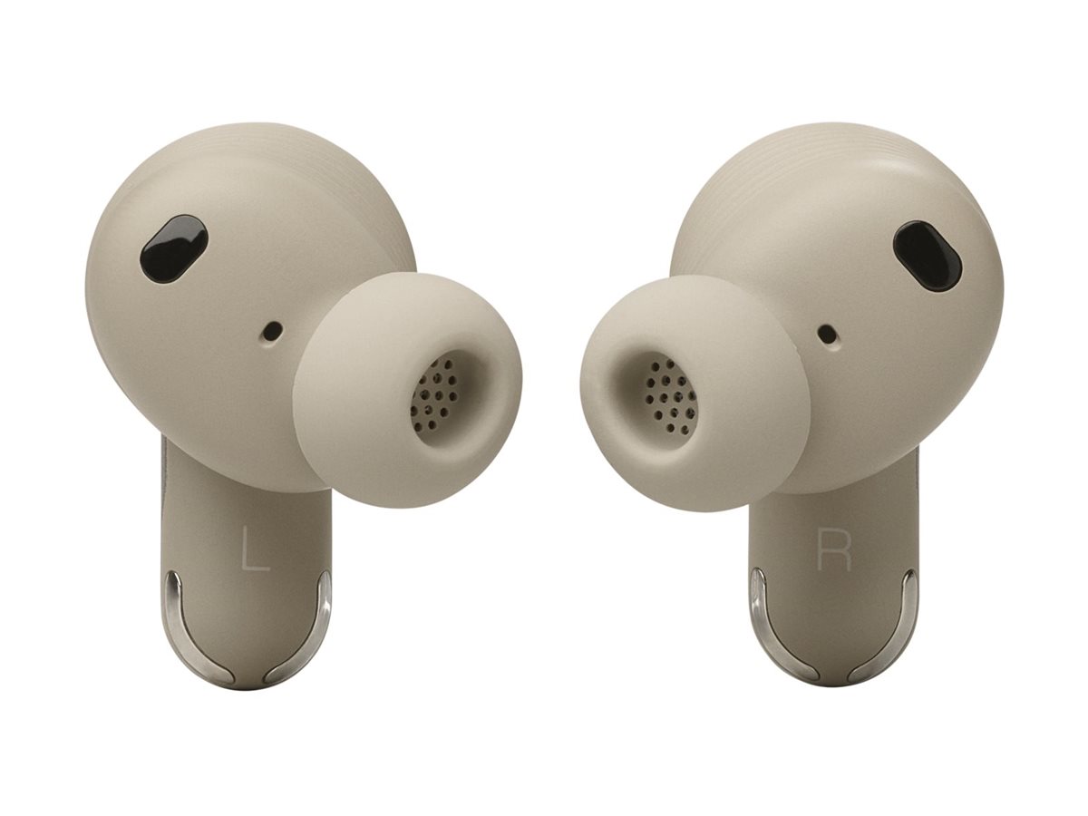 CCS Product Image (Back/1200 x 900)