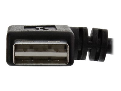 CCS Product Image (Close-up/400 x 300)