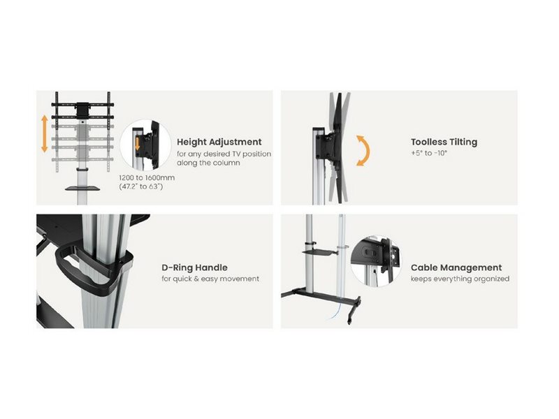 CCS Product Image (Multi-angle/800 x 600)